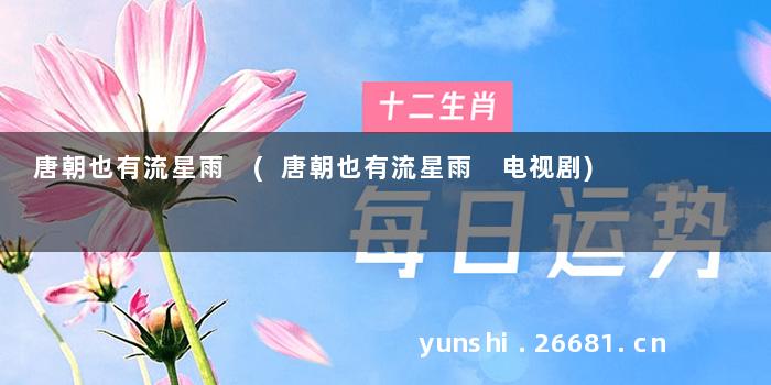 唐朝也有流星雨 (唐朝也有流星雨 电视剧)
